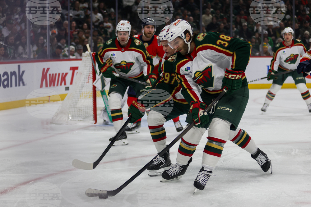 Wild Panthers Hockey