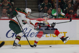 Wild Panthers Hockey