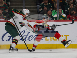 Wild Panthers Hockey