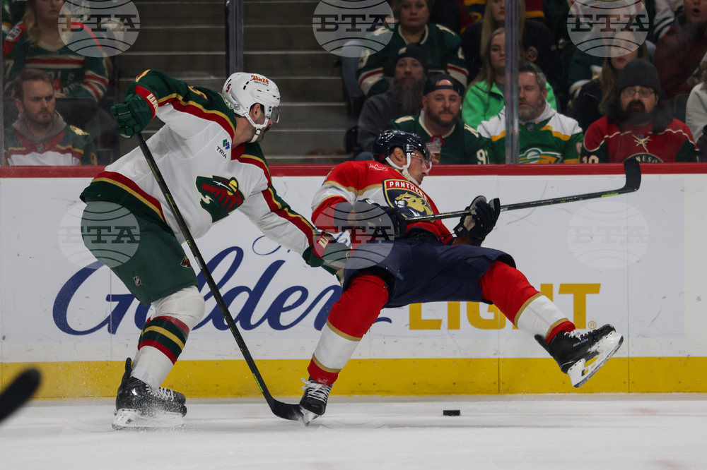 Wild Panthers Hockey