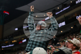 Wild Panthers Hockey