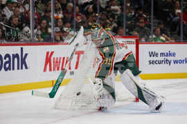 Wild Panthers Hockey