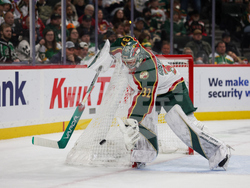 Wild Panthers Hockey