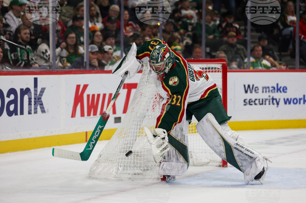 Wild Panthers Hockey