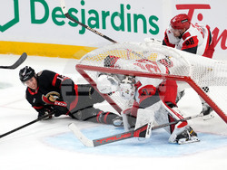 Hurricanes Senators Hockey