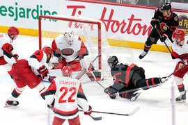 Hurricanes Senators Hockey