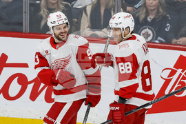 Red Wings Jets Hockey