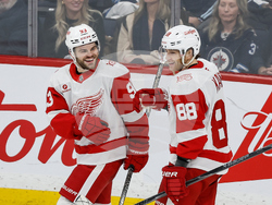 Red Wings Jets Hockey