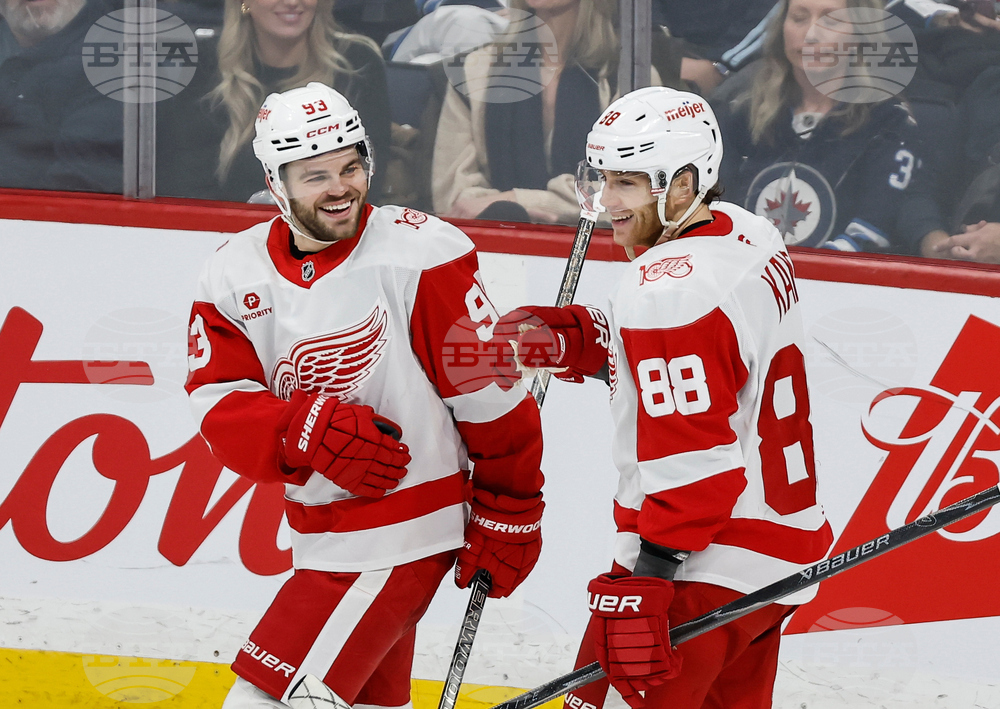 Red Wings Jets Hockey