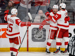 Red Wings Jets Hockey