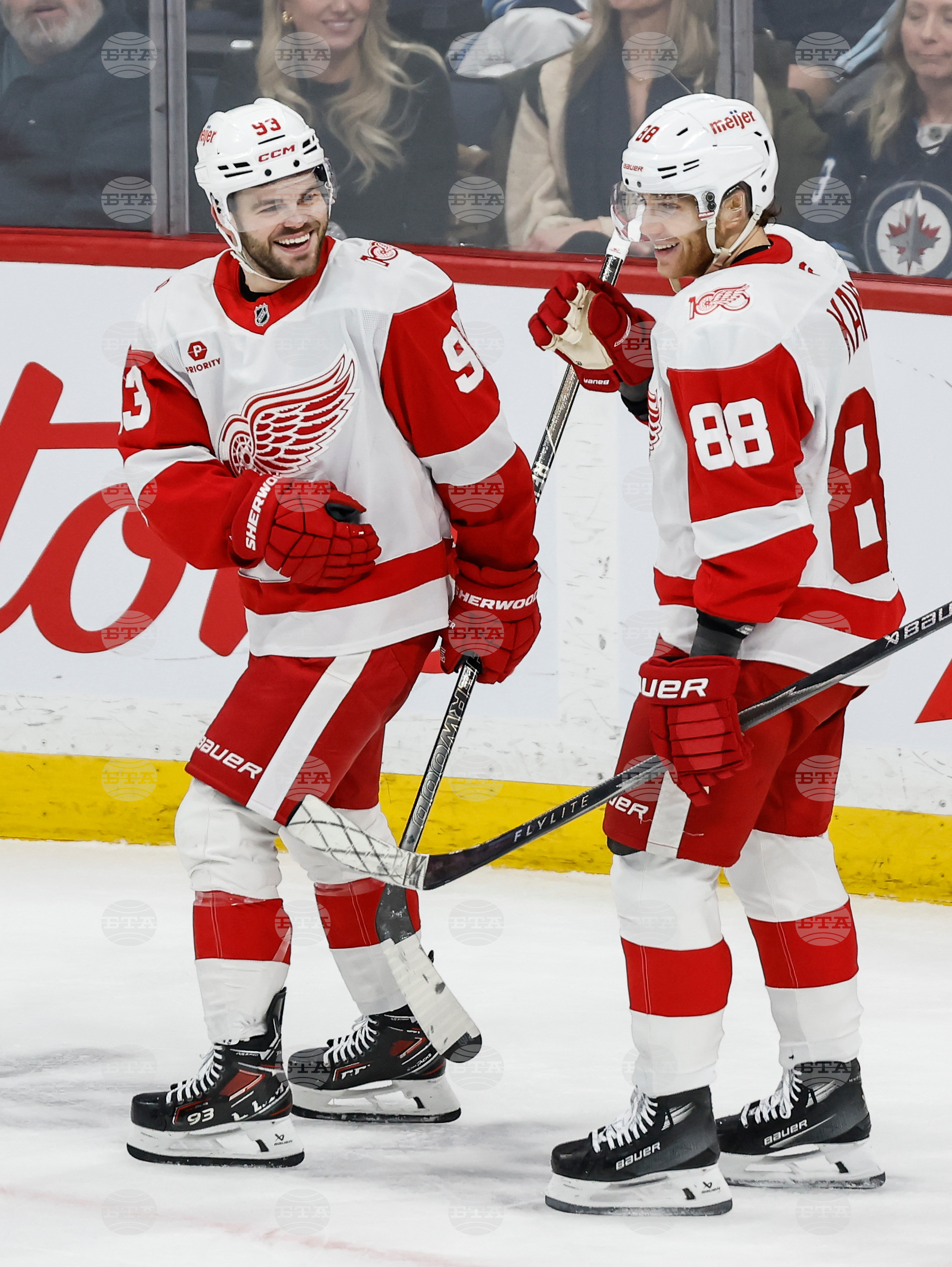 Red Wings Jets Hockey