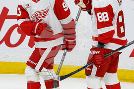 Red Wings Jets Hockey