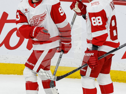 Red Wings Jets Hockey