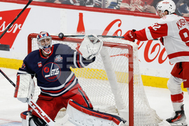 Red Wings Jets Hockey