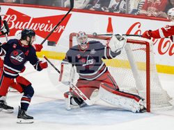 Red Wings Jets Hockey