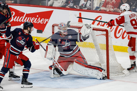 Red Wings Jets Hockey