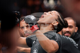 UFC 324 Mixed Martial Arts