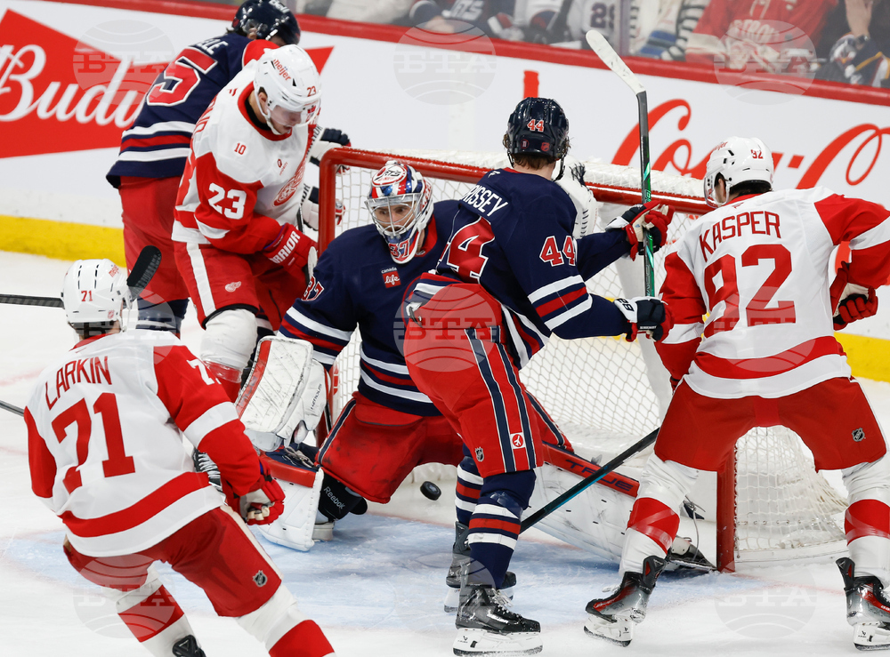 Red Wings Jets Hockey