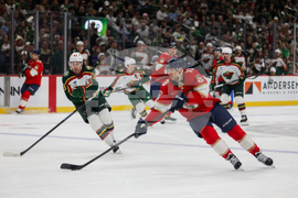 Wild Panthers Hockey