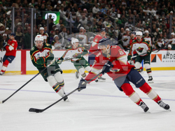 Wild Panthers Hockey