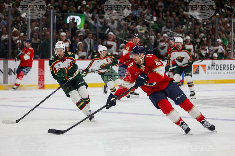 Wild Panthers Hockey