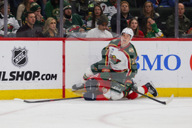 Wild Panthers Hockey