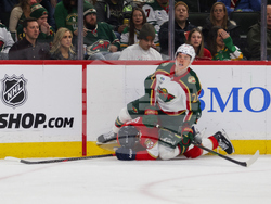 Wild Panthers Hockey