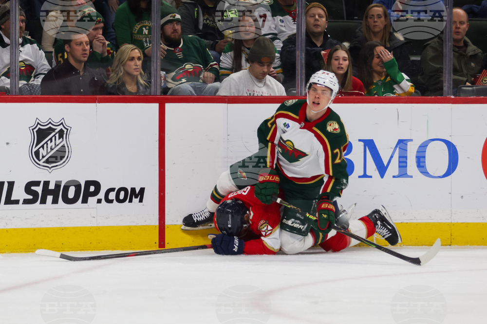 Wild Panthers Hockey