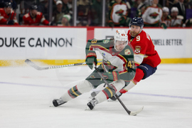 Wild Panthers Hockey