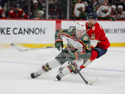 Wild Panthers Hockey