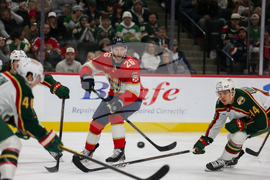 Wild Panthers Hockey