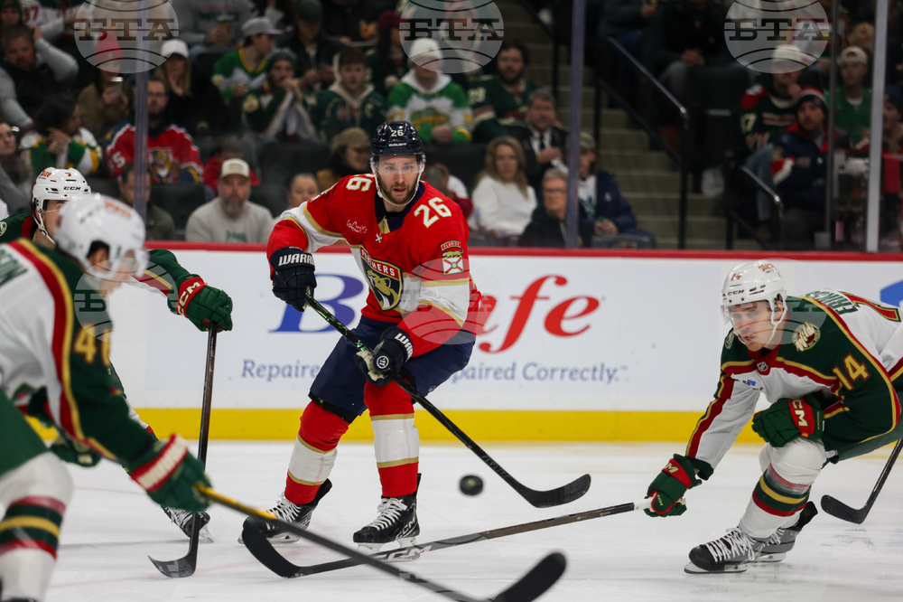 Wild Panthers Hockey