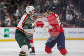 Wild Panthers Hockey