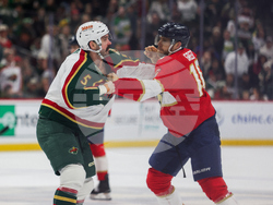 Wild Panthers Hockey