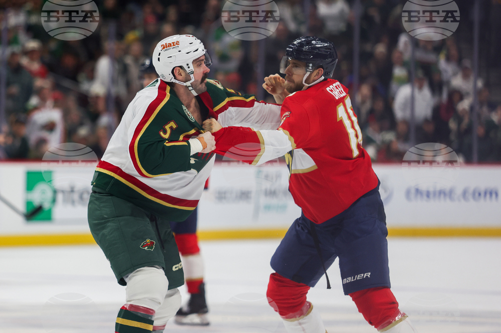 Wild Panthers Hockey