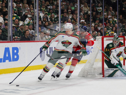 Wild Panthers Hockey