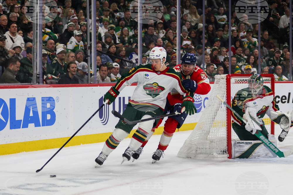 Wild Panthers Hockey