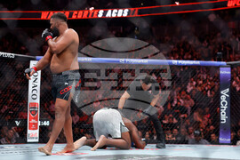 UFC 324 Mixed Martial Arts