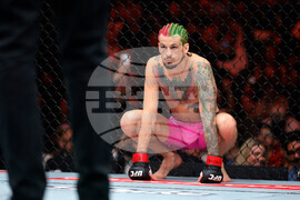 UFC 324 Mixed Martial Arts