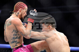 UFC 324 Mixed Martial Arts