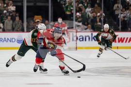 Wild Panthers Hockey