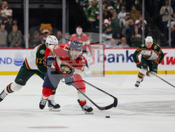 Wild Panthers Hockey