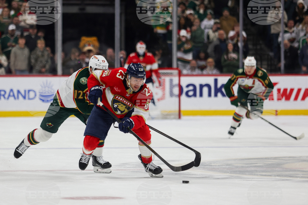 Wild Panthers Hockey