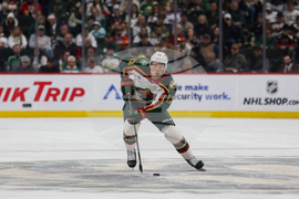 Wild Panthers Hockey