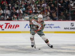 Wild Panthers Hockey