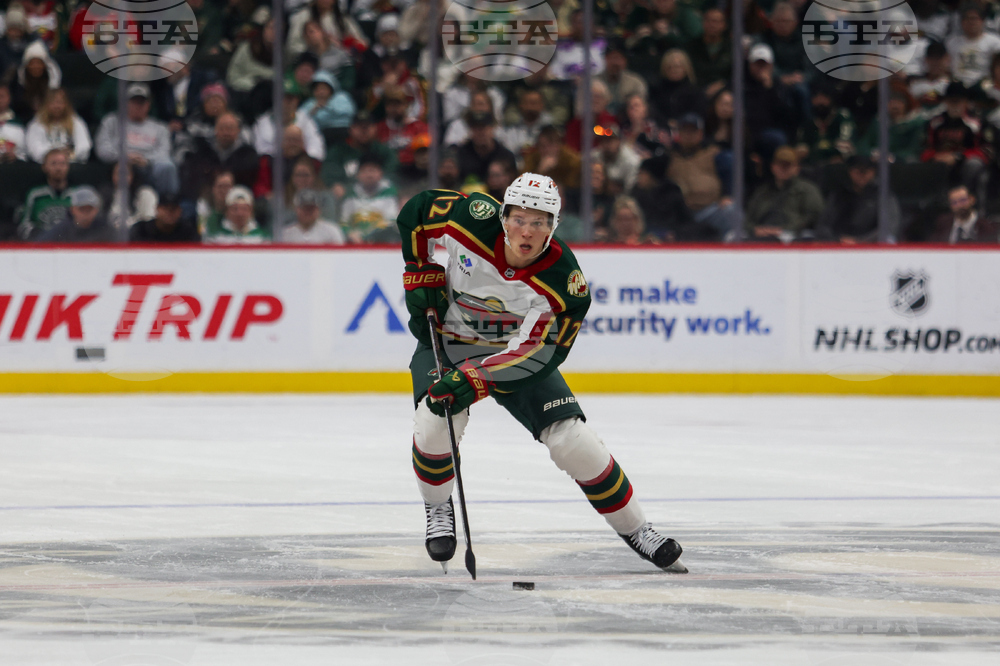 Wild Panthers Hockey