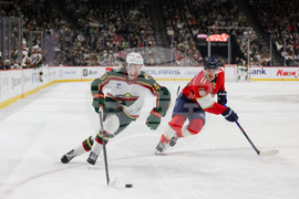 Wild Panthers Hockey