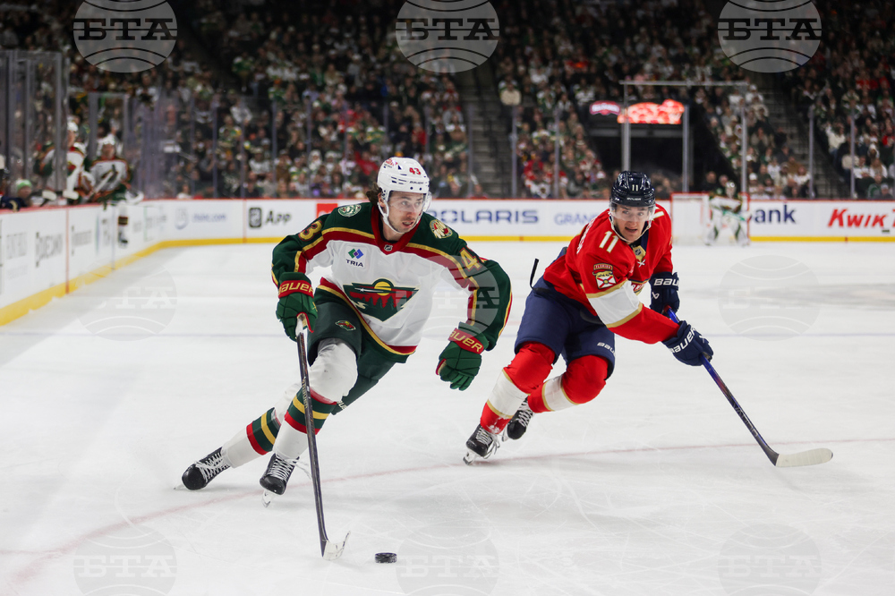 Wild Panthers Hockey