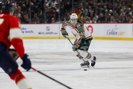 Wild Panthers Hockey