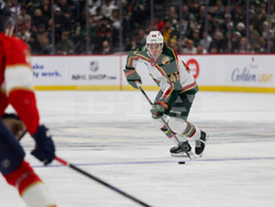 Wild Panthers Hockey